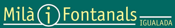 P&agrave;gina d'inici de l'IES SEP MIl&agrave; i Fontanals